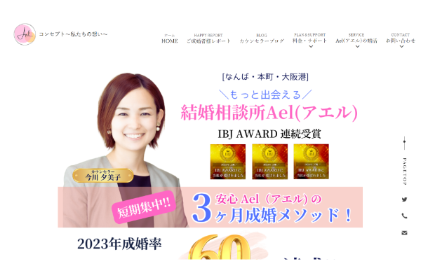 Ael（アエル）の公式HPキャプチャ